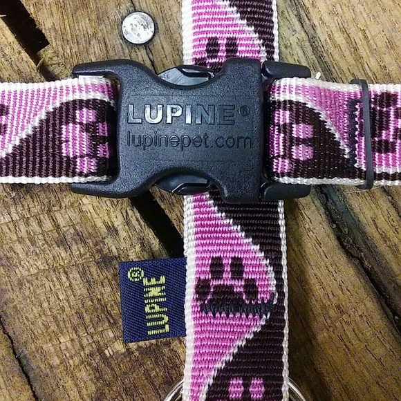 NWT Lupine Pet Collar & Matching Keychain! - Picture 4 of 8